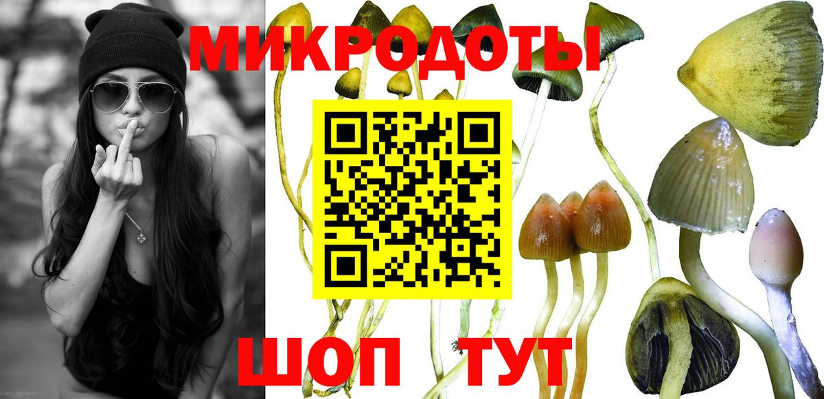 Псилоцибиновые грибы прущие грибы Радужный