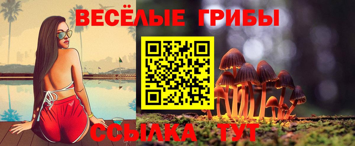 Псилоцибиновые грибы Psilocybe  Вход с VPN  закладки  Радужный 